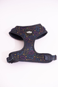 MOSI-35.webp