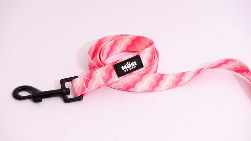 MOSI-30.webp