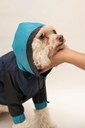 MOSIBYCOSI-ABRIL-88.webp