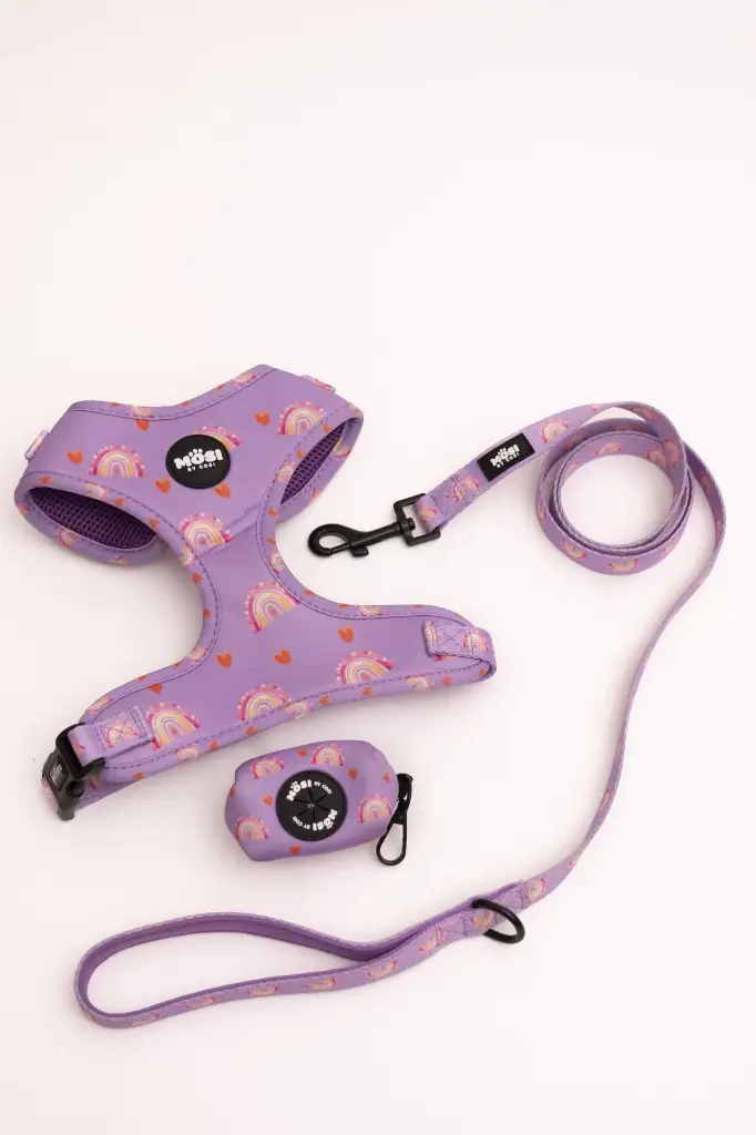 PECHERA LILA ARCOIRIS