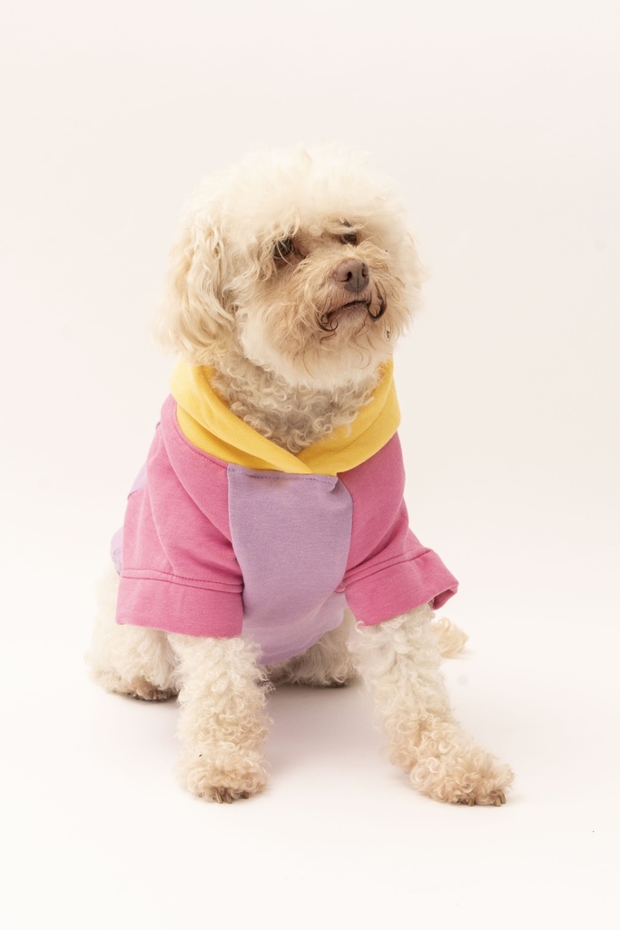 Sudadero Lila-Rosa-Marillo 