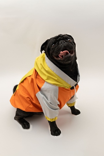 Chumpa Impermeable  Naranja y Amarillo  ( Sunsent)