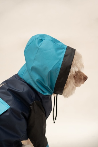 Chumpa Impermeable Azul Turquesa   (BLUE CLUE  ) 