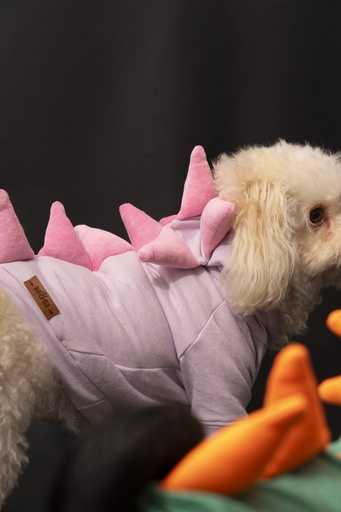 DINO LILA