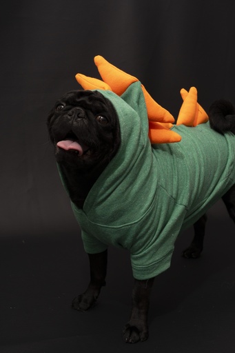 DINO VERDE